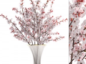 sakura bouquet Modelo 3D