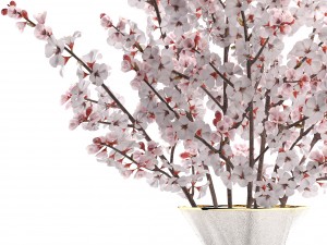 sakura bouquet 3D मॉडल