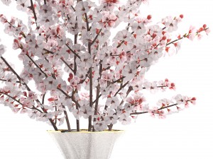 sakura bouquet 3D मॉडल