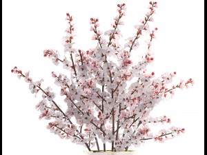 sakura bouquet 3D मॉडल