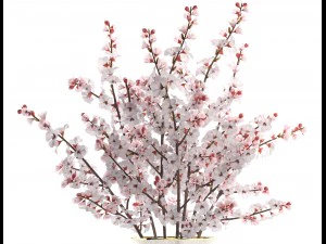 sakura bouquet 3D Model