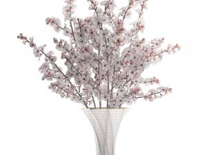 sakura bouquet 3D मॉडल