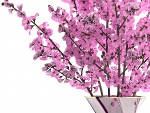 sakura bouquet Modelo 3D