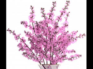 sakura bouquet Modelo 3D