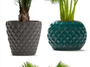 collection palms 3D मॉडल