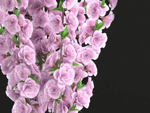 sakura bouquet 3D Model