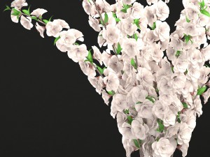 sakura bouquet 3D Модель
