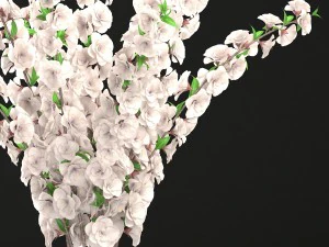 sakura bouquet 3D Model