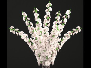 sakura bouquet 3D Модель