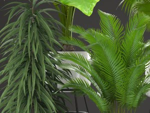 收集厂 3D 模型