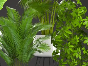 收集厂 3D 模型