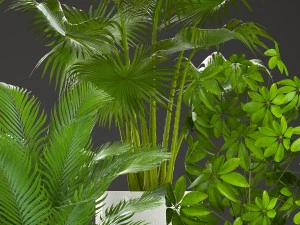 收集厂 3D 模型