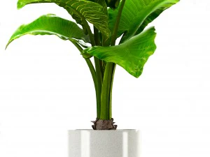 收集厂 3D 模型
