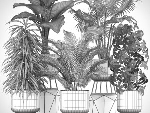 collection plants Modelo 3D