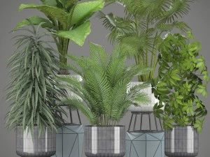 收集厂 3D 模型