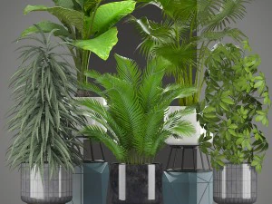 收集厂 3D 模型