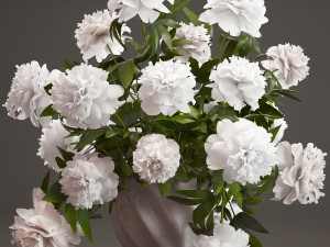 bouquet white peonies 3Dモデル