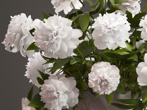 bouquet white peonies Modelo 3D