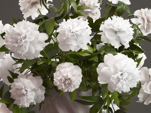bouquet white peonies Modelo 3D