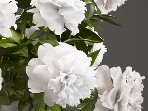 bouquet white peonies Modelo 3D
