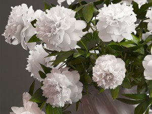 bouquet white peonies Modelo 3D
