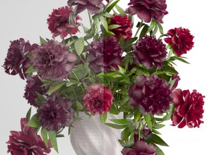 bouquet red peonies 3D Model