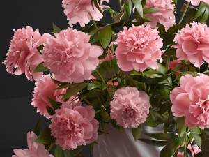 bouquet pink peonies 3Dモデル