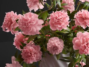 bouquet pink peonies 3D Model