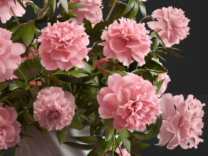 bouquet pink peonies 3D Model