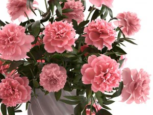 bouquet pink peonies 3D Model