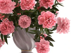 bouquet pink peonies 3D Model
