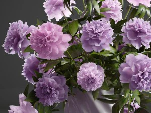 bouquet lilac peonies 3D Model