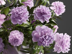 bouquet lilac peonies 3D Model