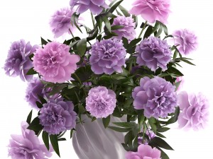 bouquet lilac peonies Model 3D