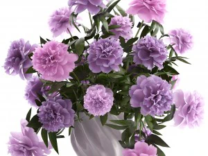 bouquet lilac peonies 3D Model