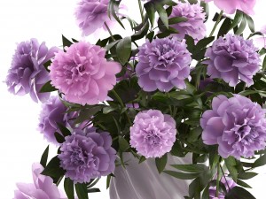 bouquet lilac peonies Model 3D