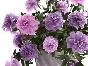 bouquet lilac peonies 3D Model