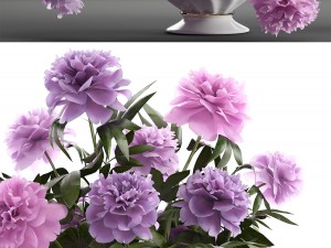 bouquet lilac peonies Model 3D
