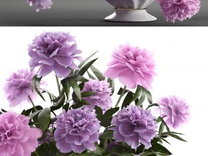 bouquet lilac peonies 3D Model