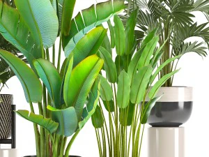 collection of ornamental plants in pots 3D Model