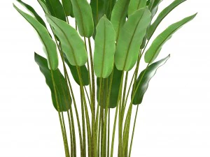 collection of ornamental plants in pots 3D Model