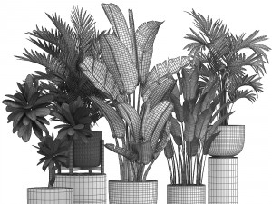 collection of ornamental plants in pots Modelo 3D