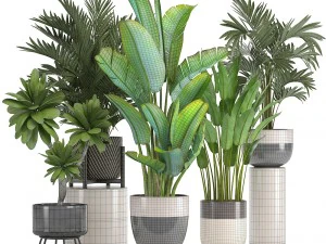 collection of ornamental plants in pots 3D Model