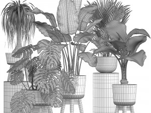 collection of ornamental plants in pots Modelo 3D