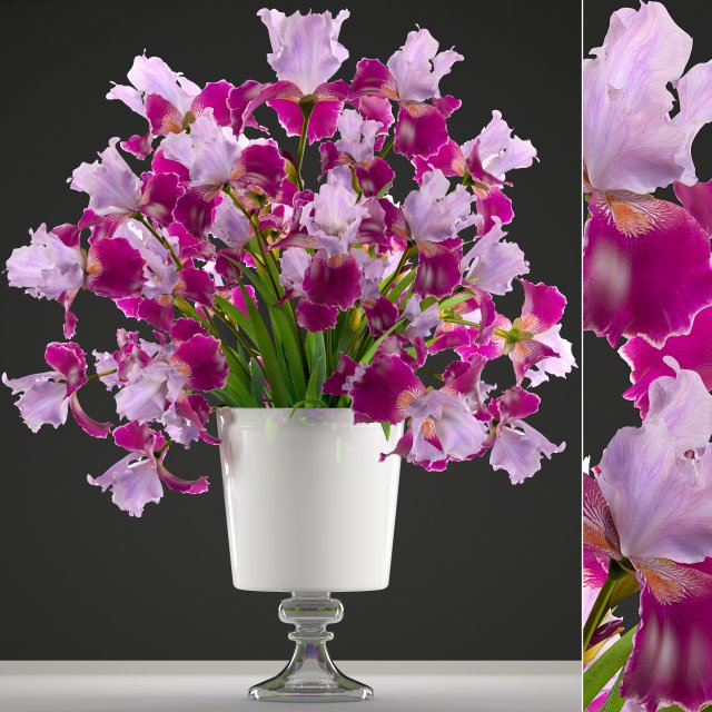 flower bouquet of iris Modèle 3D .c4d .max .obj .3ds .fbx .stl .blend 
