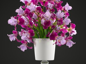 flower bouquet of iris Modèle 3D