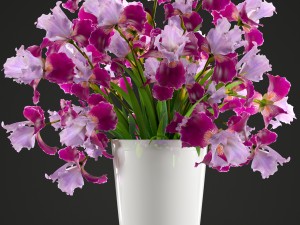 flower bouquet of iris Modèle 3D