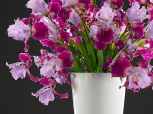 flower bouquet of iris Modèle 3D