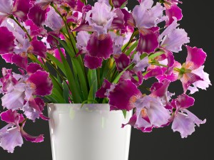 flower bouquet of iris Modèle 3D