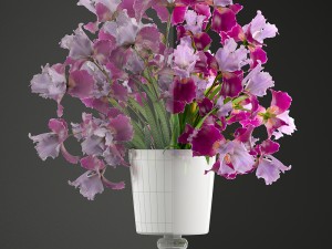flower bouquet of iris Modèle 3D